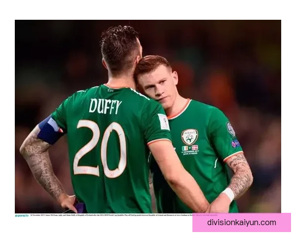 爱尔兰世界杯历史表现分析，状态逐步回暖值得关注